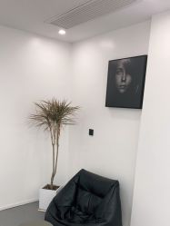 点击看大图 -木子美学