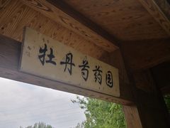-黑龙江省森林植物园
