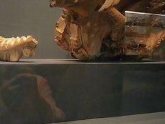 -贵州省博物馆(新馆)