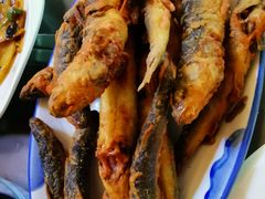 -华福羊汤馆(小市总店)