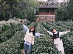 -中国茶叶博物馆(双峰馆区)