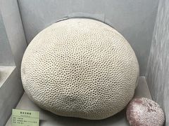 -河南自然博物馆