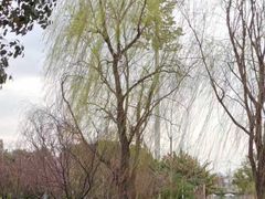 -白鹭湾湿地公园