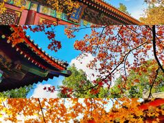 -沉浸北京·团建旅行·密室剧本杀·年会会议轰趴拓展