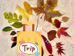 -西湖风景区-江洋畈生态公园