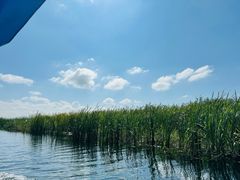 -白洋淀风景区