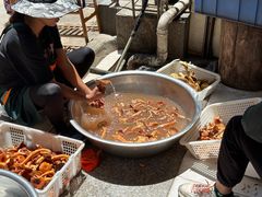 -草墩罗非鱼庄•野生菌•腊排骨(七星街上段店)