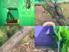 -昆山招商花园城
