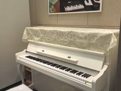 -知音艺术教育培训·钢琴培训·音乐培训(河西金鹰世界校区)