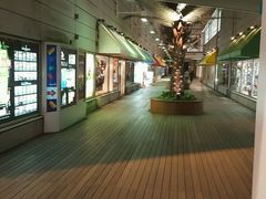 -台场一丁目商店街