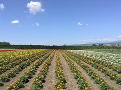 -富田农场