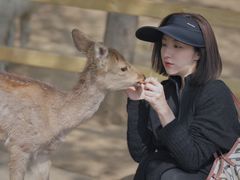 -北京雁栖湖国际会展中心