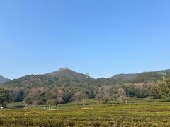 -灵顺寺