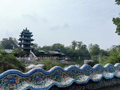 -桂湖森林公园