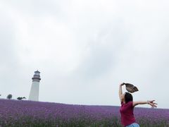 -紫颐香薰山谷景区