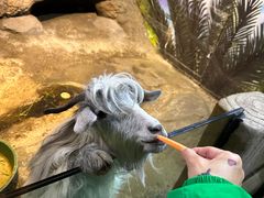 -苏州海洋馆