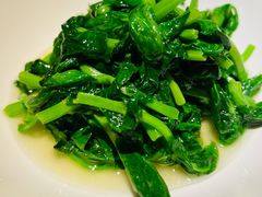 五粮液嫩豆苗-玫瑰厅上海菜(兴国路店)