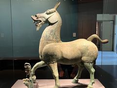 -广西壮族自治区博物馆