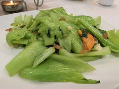 -万年酒楼(越秀南路店)