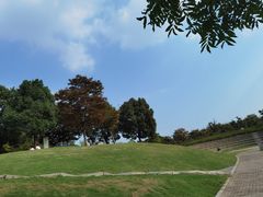 -尚贤河湿地