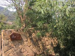 -远山有窑