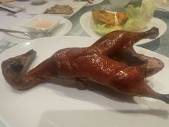 -利苑酒家(合景国际金融广场店)