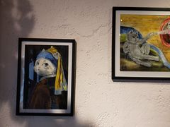 -喵屿·大理花园猫咖