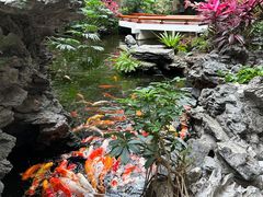 -广州白天鹅宾馆