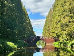 -黄海国家森林公园