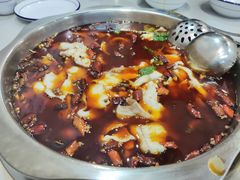-重庆何乌鱼(南湖逸家店)