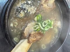 -莲洞本家