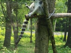 -哈尔滨北方森林动物园