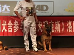 -万达影城(洛阳万达广场IMAX激光店)