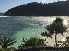 -白沙滩