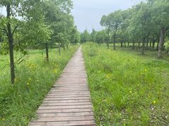 -柳鹭田园区