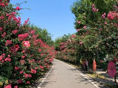 -武汉紫薇都市田园