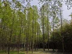 -河南省黄河迎宾馆