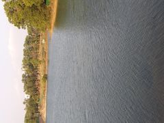 景点-聚龙山公园