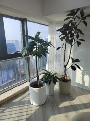 -HEYAN荷妍专业脱毛连锁机构