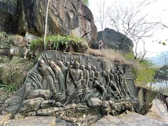 -铁山坪森林公园