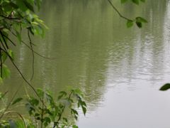 -桤木河湿地公园