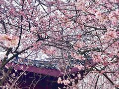 -堤角公园