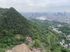 -南山植物园