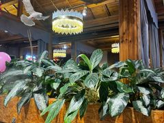 -龙泉人椰子鸡(龙昆南总店)