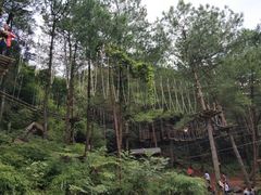 -梦幻奥陶纪景区