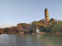 -江心屿景区
