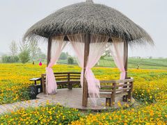-径山花海
