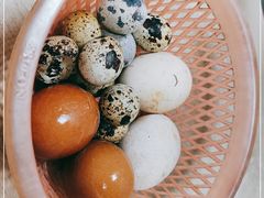 -瘦鬼老档糖水铺