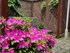 -花锦堂·隐庐