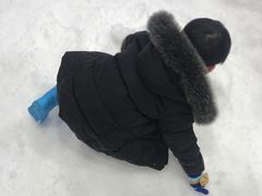 -Mr·Kuma酷么先生雪之乐园